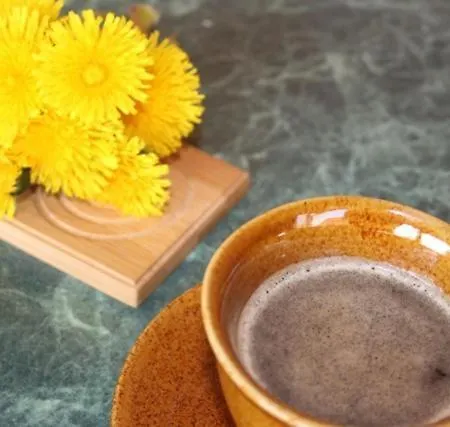 Casa de Férias Dom Letniskowy Orchidea *