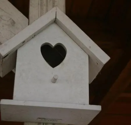 Dom Letniskowy Orchidea Casa de Férias *