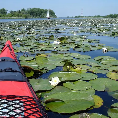 Dom Letniskowy Orchidea *