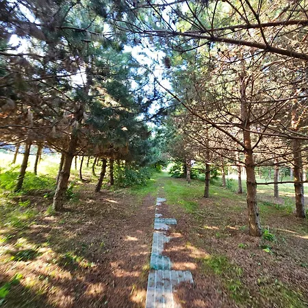 Dom Letniskowy Orchidea Tatil Evi *