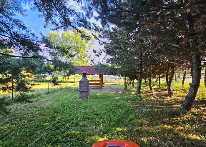 Dom Letniskowy Orchidea Chrzanowo