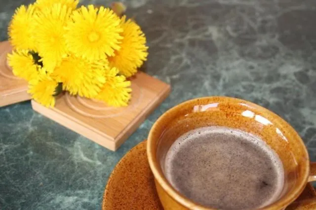 Holiday home Dom Letniskowy Orchidea *