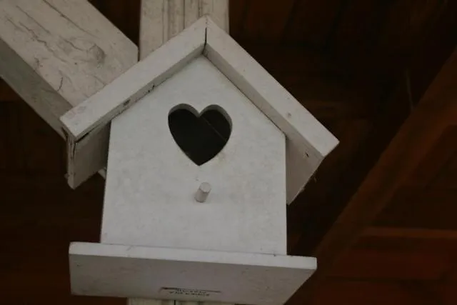 Dom Letniskowy Orchidea Holiday home *