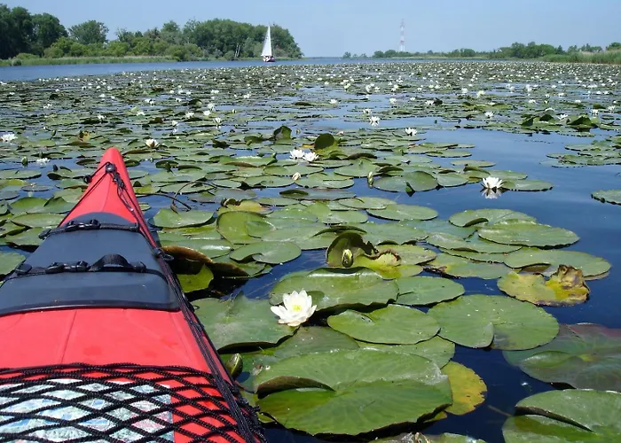 Dom Letniskowy Orchidea *