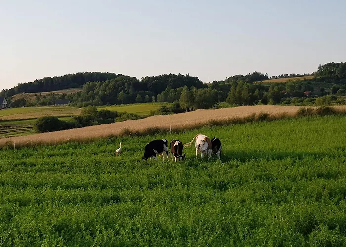 Holiday home Dom Letniskowy Orchidea