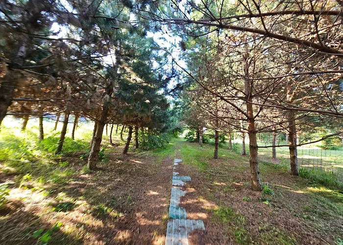 Dom Letniskowy Orchidea Holiday home *